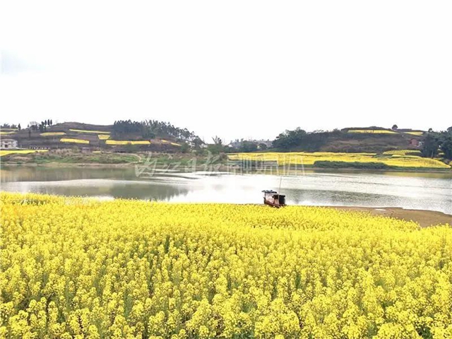 内江市市中区龙门镇是一座千年古镇， 距内江城区约30公里。  一度时期，龙门镇改名为沱江乡， 2015年再次改回原来的地名。 “龙门镇”这名称显然更有古老的味道 听起来也更觉有传奇、有故事。  图片 (图8)