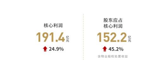 世茂2020年报：潜心高质量发展 铸就长期价值(图2)