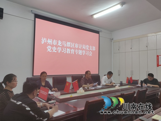 龙马潭区审计局召开党史 学习教育专题学习会