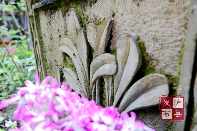 历经战火，美丽依旧，泸州这所学堂你知道吗？(图11)