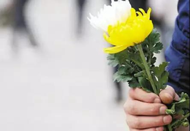 泸州交警：清明，这份出行攻略应周知！