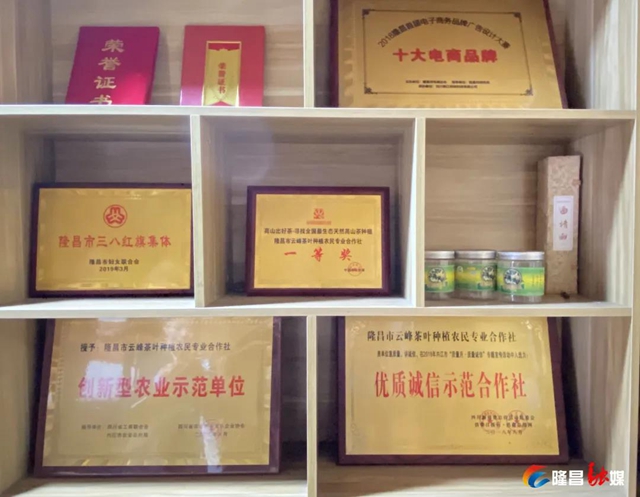 哇！隆昌一深山里，藏着3000亩“金叶子”(图7)