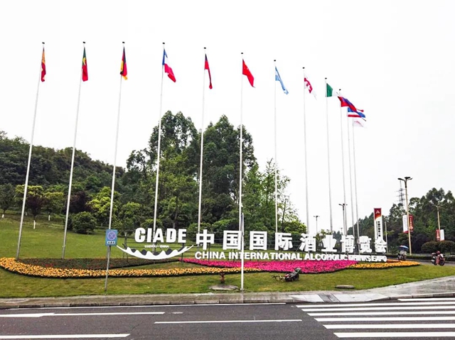 助力酒博会，100万盆鲜花妆点酒城！(图4)