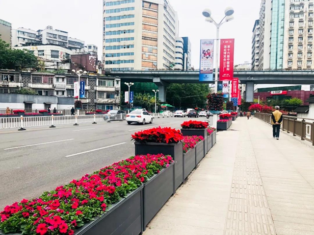 助力酒博会，100万盆鲜花妆点酒城！(图6)