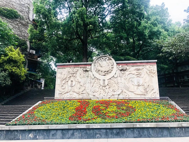 助力酒博会，100万盆鲜花妆点酒城！(图7)