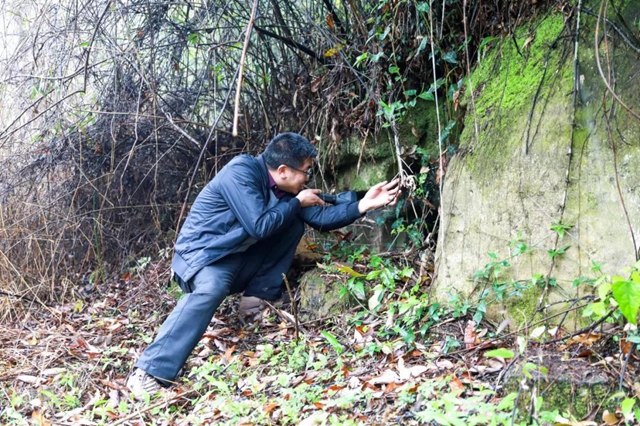 整石上现汉墓群！泸州合江的新发现在全省屈指可数！(图4)