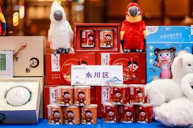 川南渝西文化旅游联盟（重庆）推介会召开(图4)