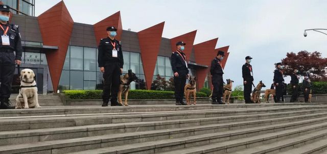 泸州人的专属“盛会”，警方「第一视角」首次发布(图10)