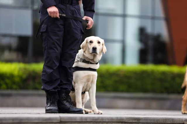 泸州人的专属“盛会”，警方「第一视角」首次发布(图9)