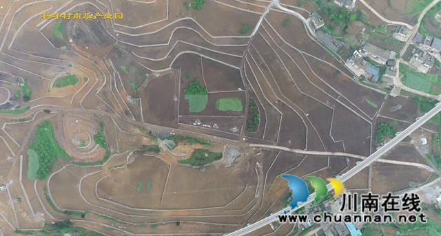 古蔺县龙山镇杨坪村:产业基地如画卷,乡村振兴有基础(图5) 古蔺县龙山镇杨坪村:产业基地如画卷,乡村振兴有基础(图5)