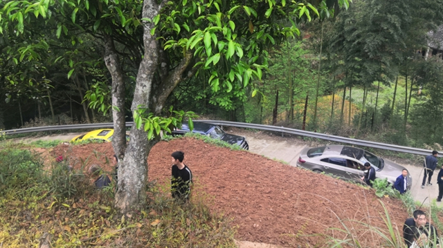 泸州市启动本地茶树种质资源收集工作(图2)