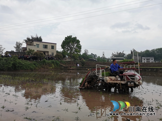 无人机施肥、机械化插秧，泸县春耕现场科技感十足(图1)