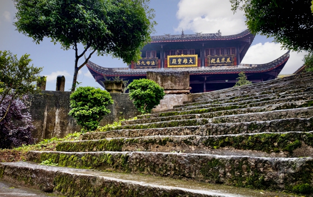 合江县凤鸣镇：“子树救父”，百年黄葛树的“父子情”很感人！(图4)