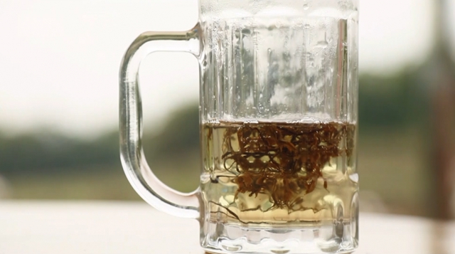 美如画！合江这里漫山遍野刺梨花美山乡(图9)