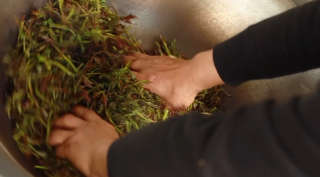 美如画！合江这里漫山遍野刺梨花美山乡(图13)