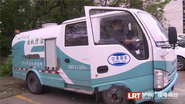 遇到请远离！红火蚁再次现身泸州......(图7)