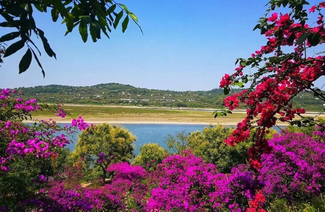 泸州14个地方入选“四川最受网民喜爱的网红打卡地”，有这些……(图7)