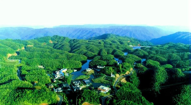 “五一”将至活动多！泸州这些景区邀你来打卡(图6)