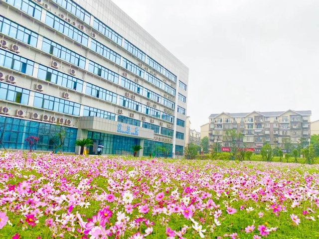 泸州新晋网红赏花地！挨斗张坝！停车、门票全免！(图8)