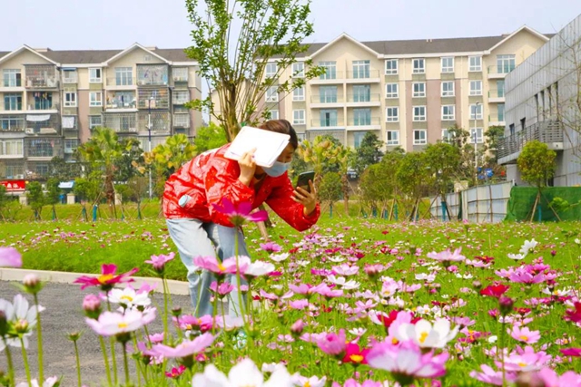 泸州新晋网红赏花地！挨斗张坝！停车、门票全免！(图20)