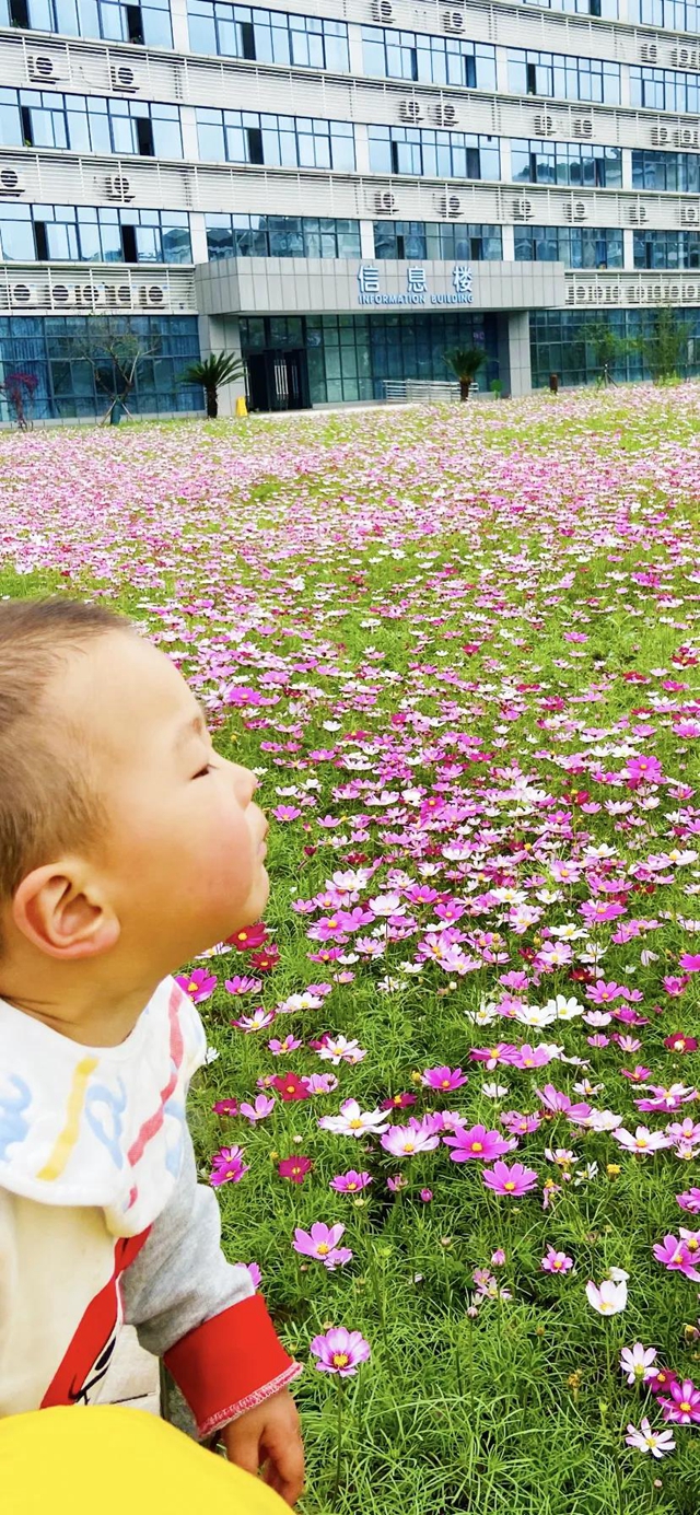 泸州新晋网红赏花地！挨斗张坝！停车、门票全免！(图18)