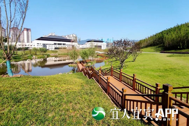宜宾龙头山竹文化生态公园5月1日部分开园(图2)