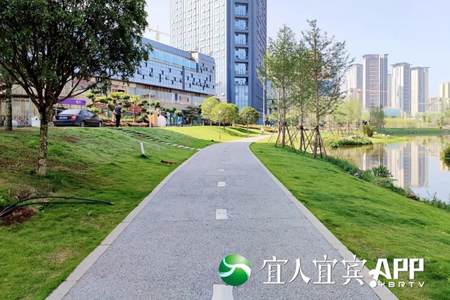 宜宾龙头山竹文化生态公园5月1日部分开园(图4)