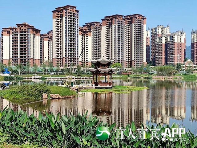 宜宾龙头山竹文化生态公园5月1日部分开园(图5)