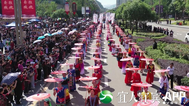 一睹为快！宜宾万人“踩花山” 场面超震撼(图2)