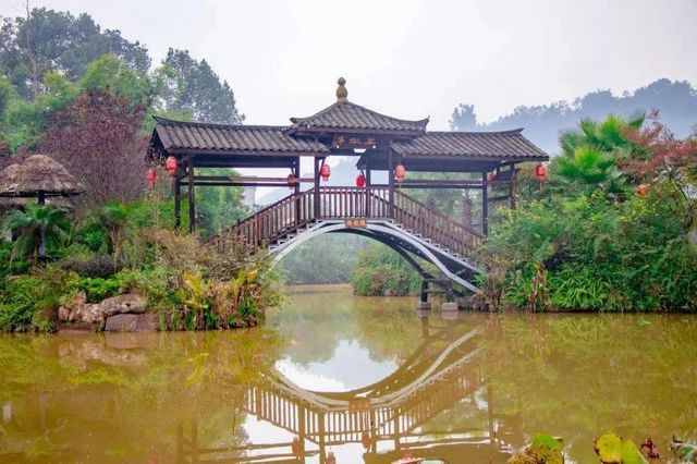 泸州“五一”本地游，景区路况来了！附本地交警实况(图2)