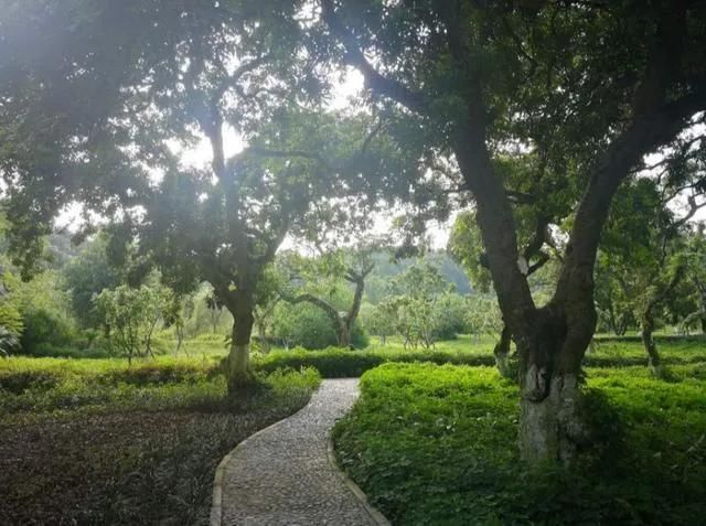 泸州“五一”本地游，景区路况来了！附本地交警实况(图3)