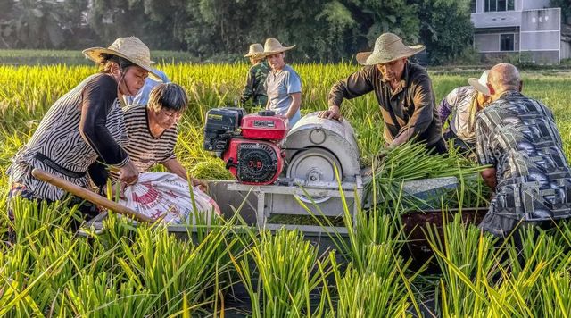定格丨江阳劳动者群像扫描(图1)