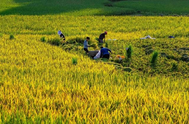 定格丨江阳劳动者群像扫描(图29)