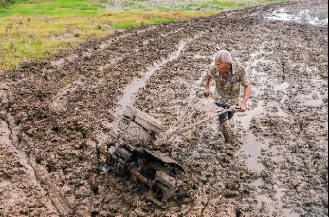 定格丨江阳劳动者群像扫描(图24)