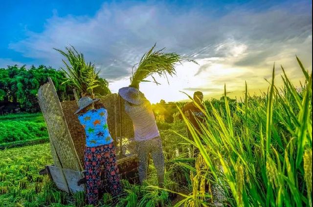 定格丨江阳劳动者群像扫描(图26)