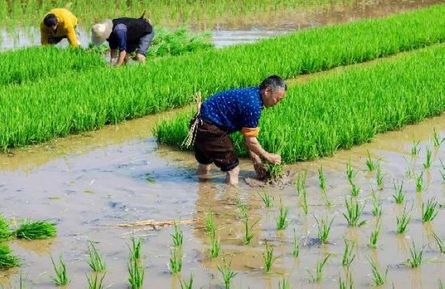 定格丨江阳劳动者群像扫描(图25)