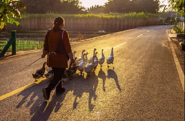 定格丨江阳劳动者群像扫描(图37)