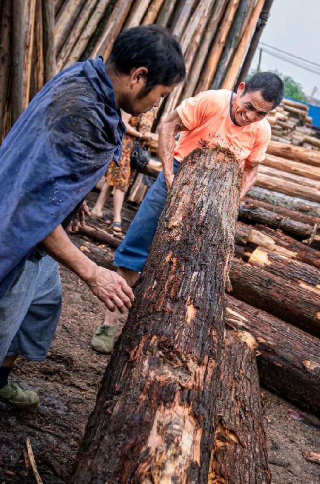定格丨江阳劳动者群像扫描(图42)