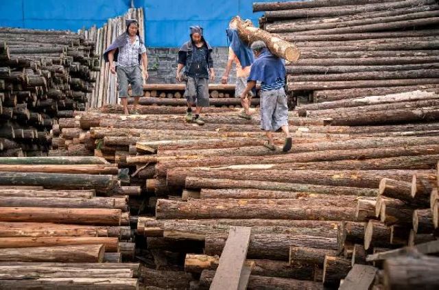 定格丨江阳劳动者群像扫描(图41)