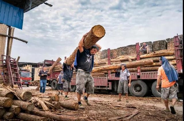 定格丨江阳劳动者群像扫描(图40)