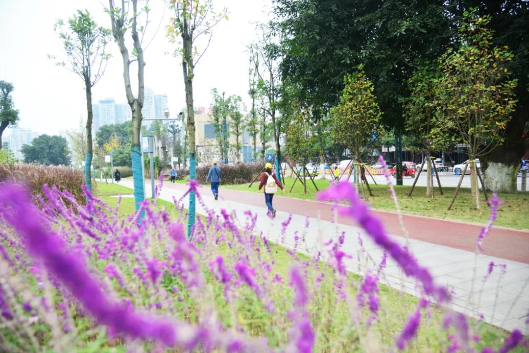 走——打卡宜宾这些“网红”墙！(图11)