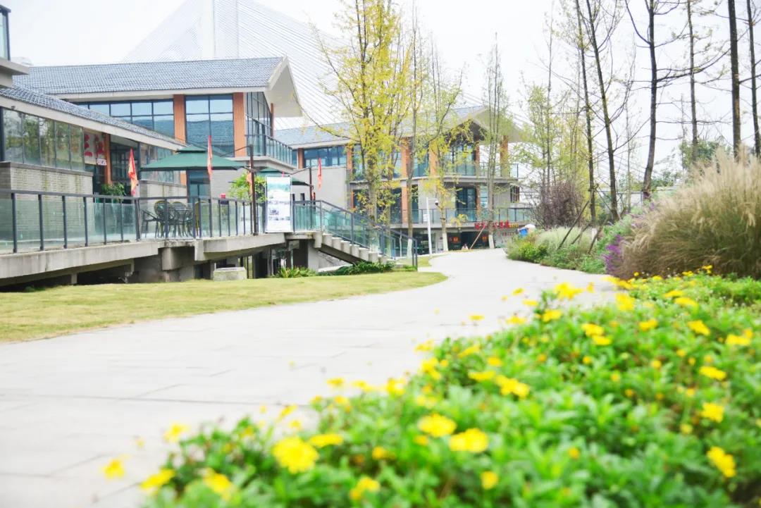 走——打卡宜宾这些“网红”墙！(图12)