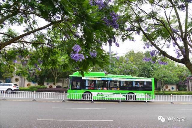 5月6日起，泸州公交集团实行夏季首末班时间(图8)