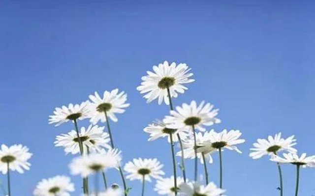 泸州男子上演现实版“神农尝百草”!结果悲剧了……(图5) 泸州男子上演现实版“神农尝百草”!结果悲剧了……(图5)