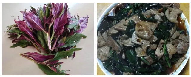 泸州男子上演现实版“神农尝百草”!结果悲剧了……(图13) 泸州男子上演现实版“神农尝百草”!结果悲剧了……(图13)