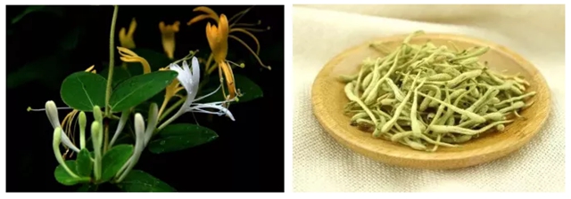 泸州男子上演现实版“神农尝百草”!结果悲剧了……(图15) 泸州男子上演现实版“神农尝百草”!结果悲剧了……(图15)