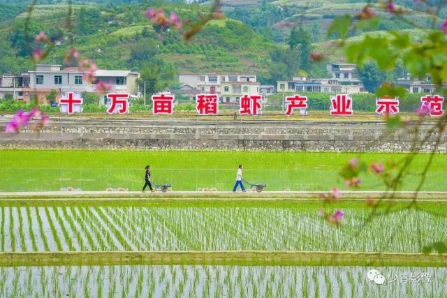 板眼多、乐翻天、双增长...“五一”假期宜宾旅游实现爆发式增长！(图14)