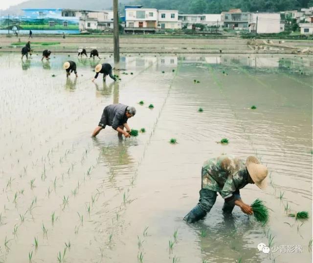 板眼多、乐翻天、双增长...“五一”假期宜宾旅游实现爆发式增长！(图15)