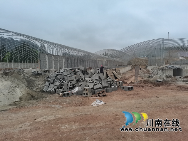 古蔺县大寨苗族乡:学党史,促产业,实现乡村振兴(图4) 古蔺县大寨苗族乡:学党史,促产业,实现乡村振兴(图4)