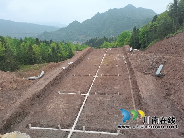 古蔺县大寨苗族乡:学党史,促产业,实现乡村振兴(图3) 古蔺县大寨苗族乡:学党史,促产业,实现乡村振兴(图3)
